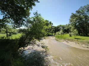 Рубас