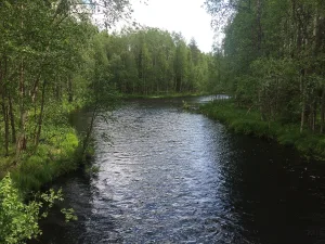 Унежма