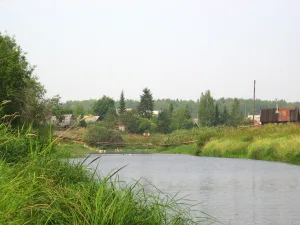 Тигода