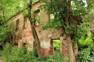 Особняк Голубкова (Ростов)