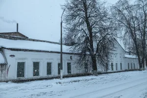Хозяйственная постройка (Сольцы)