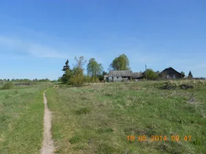 Курганная группа (Шабаны (Носово))