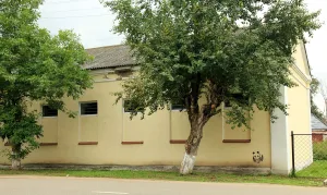 Флигель (Ростов)