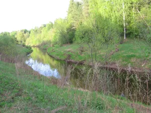 Пчёвжа