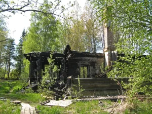 Зеленые насаждения (Ломоносов)