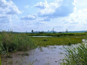 Шувакиш
