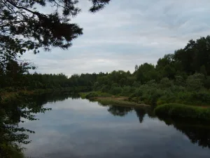 Колпь