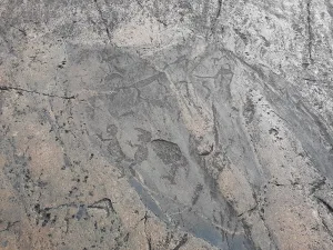 Петроглифы мыса Пери Нос-III (Красноборское с.п.)