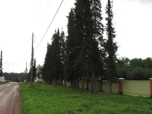 Ограда аптекарского сада с калитками и воротами (Сортавальское г.п.)