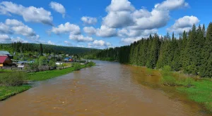 Вижай