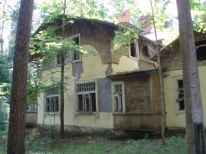 Дача (Канегиссера) (Комарово)