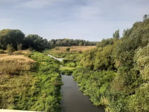 Каширка