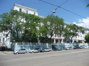 Светланская улица 109