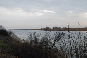Мёртвый Донец