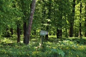 Парк (Фетинино)