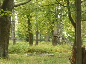 Беседка с гранитным бассейном (Зеленогорск)