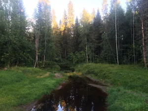 Юга