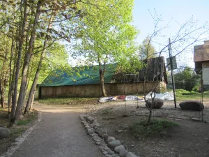 Сарай (Старый Изборск)