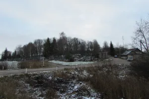 Селище на погосте Смолино (Палкино)