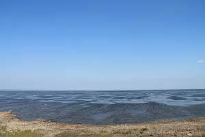Варчато