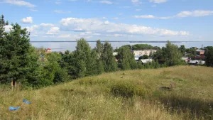 Городище «Пушкариха» (Юрьевец)