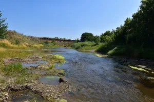 Малый Кинель