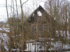 Дом (Лампово)