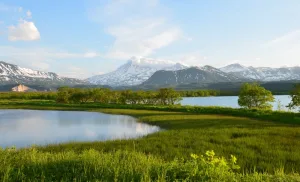 Южно-Камчатский природный заказник