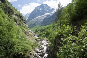 Аманауз
