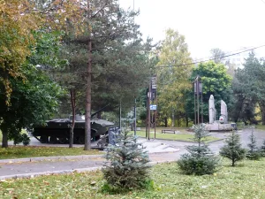 Чёрный тюльпан (Петрозаводск)