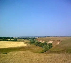 Бирля