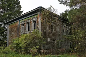 Дом купца М.А. Пановского (Большие Уки)