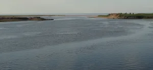 Солза