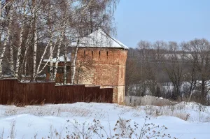 Башня (Волосово)