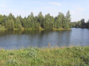 Упша