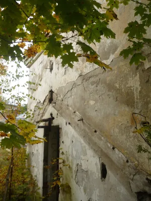 Оранжерея (Зеленогорск)