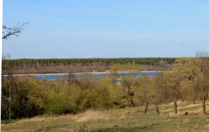 Бечино