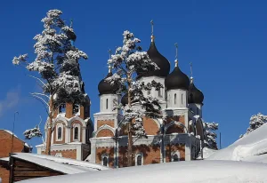 Собор Рождества Пресвятой Богородицы (Заельцовский район, Новосибирск)