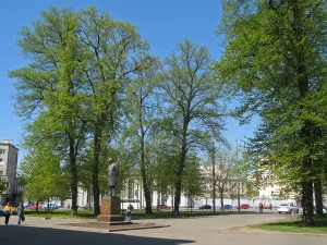 Сад Михайловской больницы