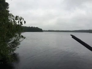 Женское