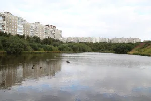 Чистое