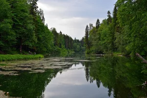 Парк (Лопухинка)