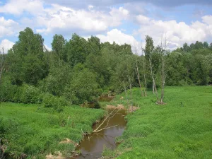 Даренка