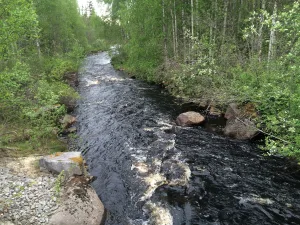 Лузингилакши