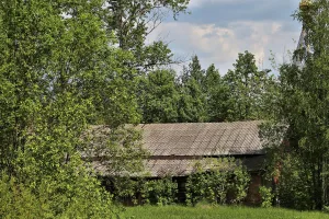 Склад и конюшня (Эдон)