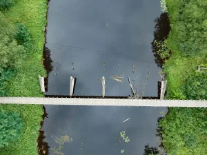 Мегрега