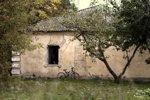 Склады (хозяйственная постройка) (Подъячево)