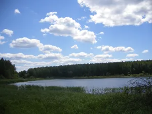 Озернинское водохранилище