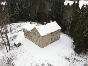Школа Хейняйоки