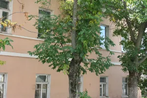 Главный дом (Коломна)